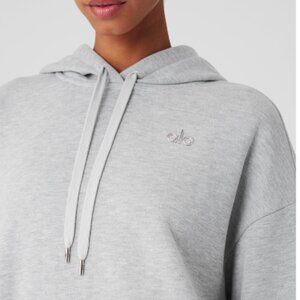 Alo Accolade Hoodie Sweatshirt - Grey - Size Small